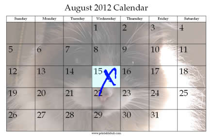 August 15 calendar