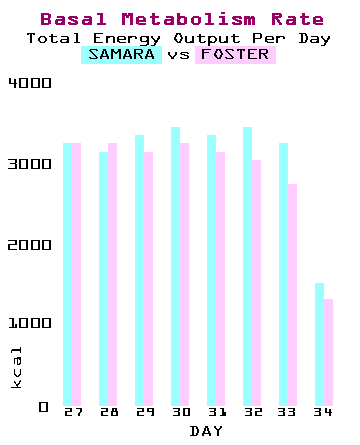 Basal Metabolism Rate - Total Energy Output